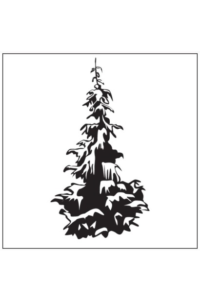 Ялина звичайна / європейська Ротенхаус